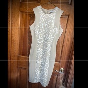 Calvin Klein Womens Dress Size 4